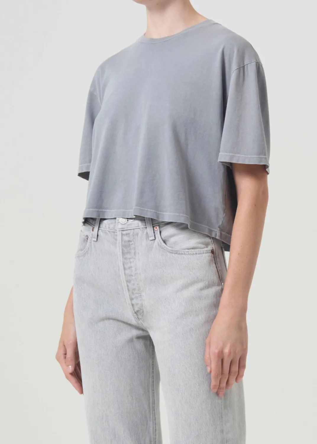 Best AGOLDE Anya Tee In Shark