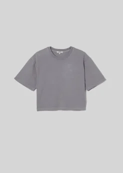 Best AGOLDE Anya Tee In Shark