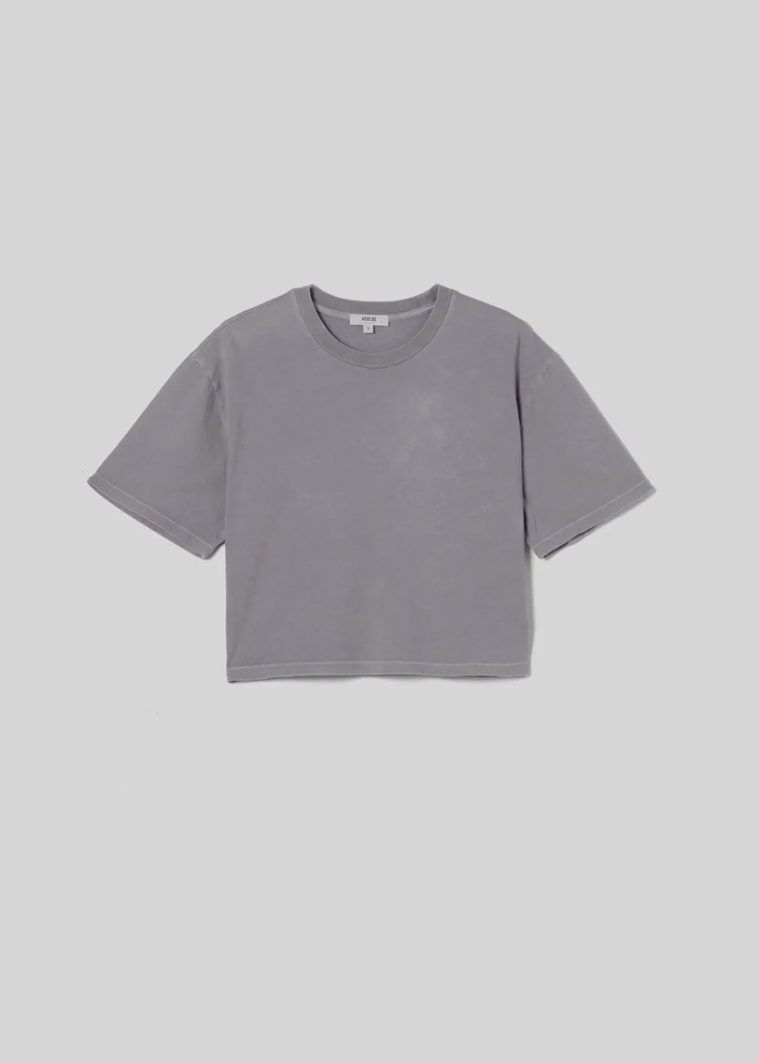 Best AGOLDE Anya Tee In Shark