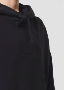 Sale AGOLDE Dayne Hoodie In Black