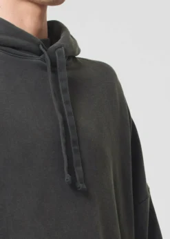 New AGOLDE Dayne Hoodie In Fracture