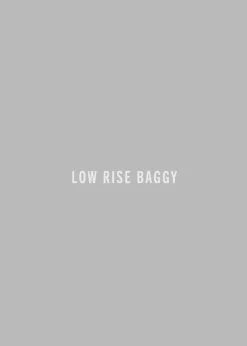Cheap AGOLDE Low Slung Baggy 30.5\\